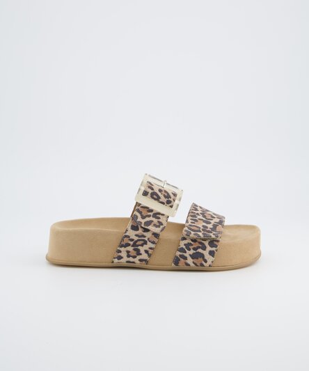 Mules